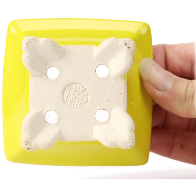 Pot à bonsaï carré jaune - 80 x 80 x 50 mm