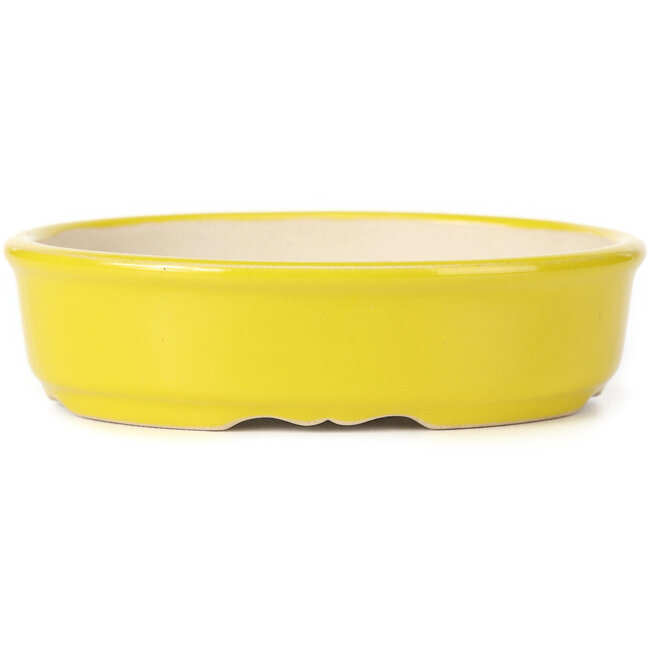 Pot à bonsaï ovale jaune - 125 x 105 x 35 mm