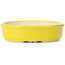 Ovale gele bonsaipot - 125 x 105 x 35 mm