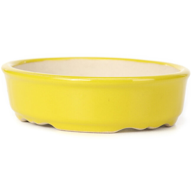Vaso bonsai giallo ovale - 125 x 105 x 35 mm