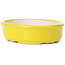 Pot à bonsaï ovale jaune - 125 x 105 x 35 mm