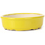Vaso bonsai giallo ovale - 125 x 105 x 35 mm