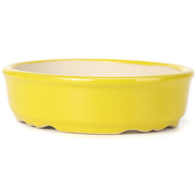 Ovale gelbe Bonsaischale - 125 x 105 x 35 mm