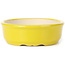 Ovale gele bonsaipot - 125 x 105 x 35 mm