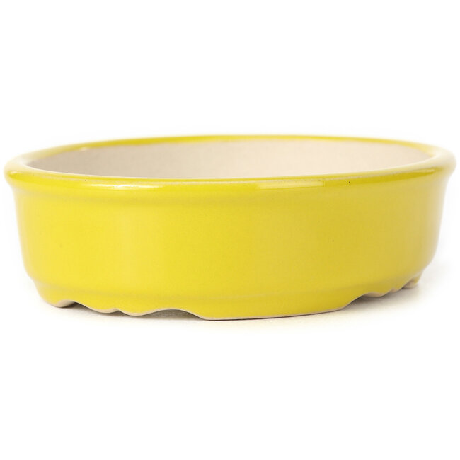 Pot à bonsaï ovale jaune - 125 x 105 x 35 mm