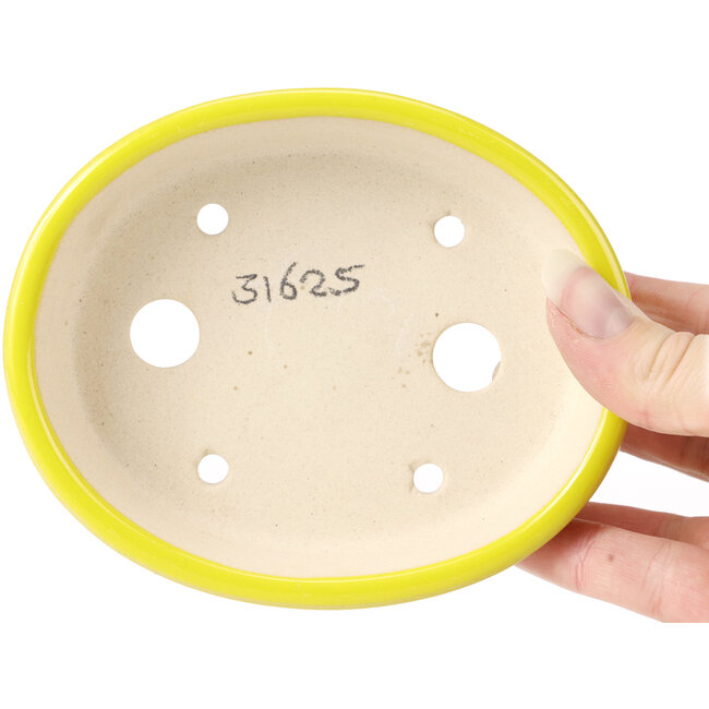 Maceta de bonsái amarilla ovalada - 125 x 105 x 35 mm