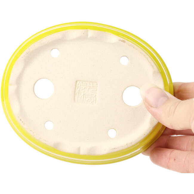 Ovale gele bonsaipot - 125 x 105 x 35 mm