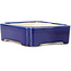 Rectangular blue bonsai pot - 125 x 110 x 35 mm