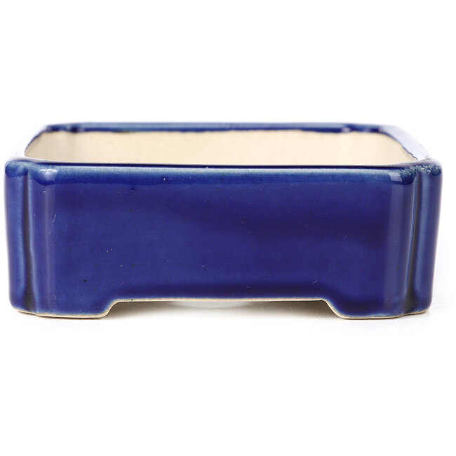 Pot à bonsaï rectangulaire bleu - 125 x 110 x 35 mm