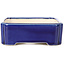 Rectangular blue bonsai pot - 125 x 110 x 35 mm