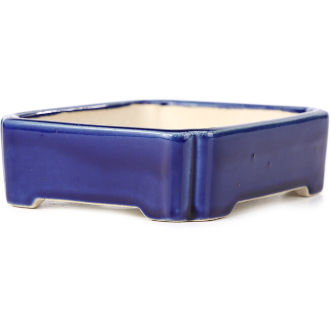 Pot à bonsaï rectangulaire bleu - 125 x 110 x 35 mm