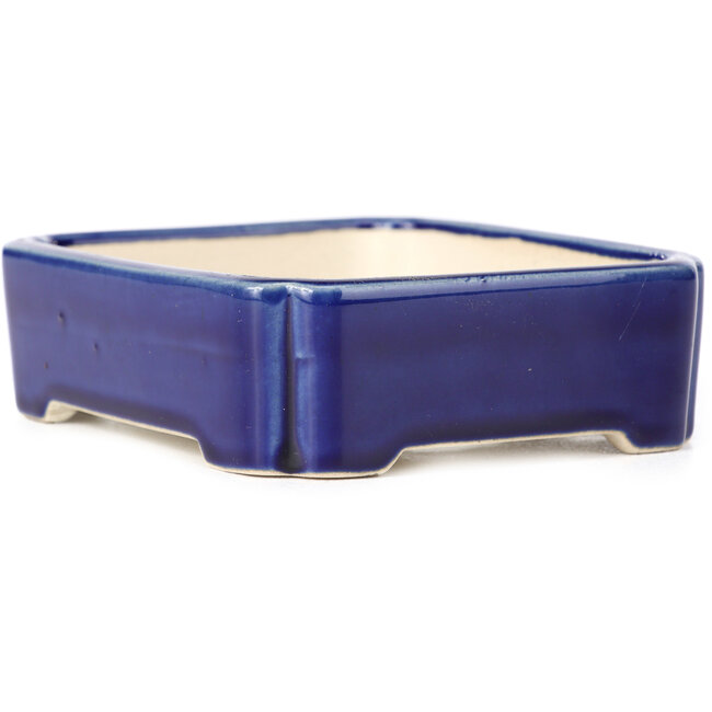 Maceta de bonsái rectangular azul - 125 x 110 x 35 mm