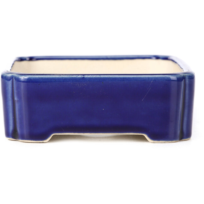 Pot à bonsaï rectangulaire bleu - 125 x 110 x 35 mm