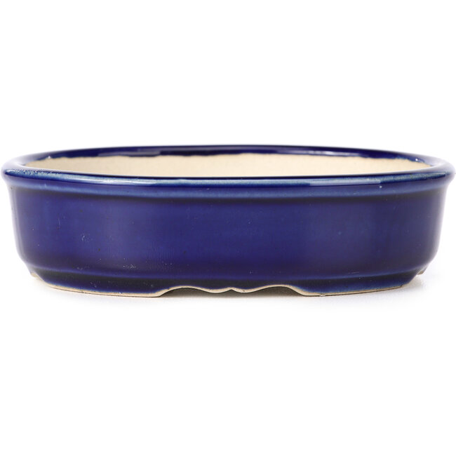 Oval blue bonsai pot - 130 x 105 x 35 mm