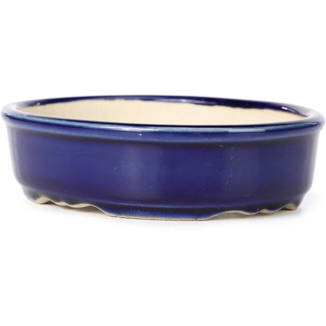 Ovale blauwe bonsaipot - 130 x 105 x 35 mm