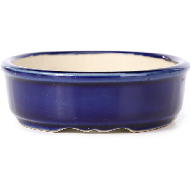 Maceta de bonsái azul ovalada - 130 x 105 x 35 mm