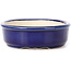 Oval blue bonsai pot - 130 x 105 x 35 mm