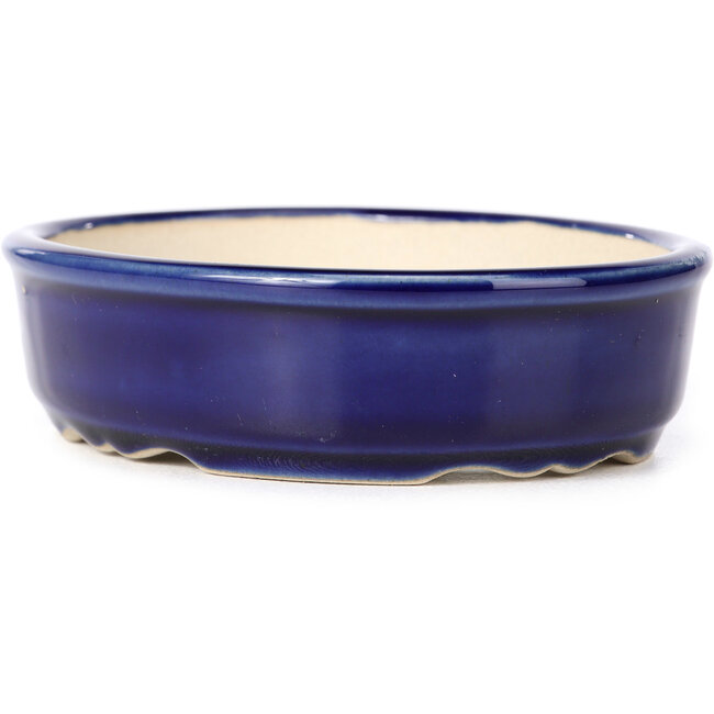 Ovale blauwe bonsaipot - 130 x 105 x 35 mm