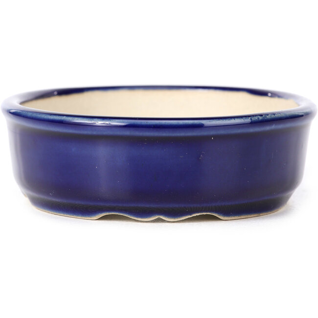 Ovale blauwe bonsaipot - 130 x 105 x 35 mm