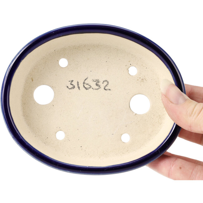 Ovale blauwe bonsaipot - 130 x 105 x 35 mm