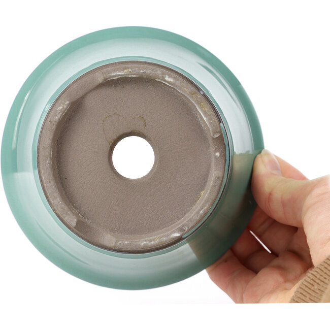 Ronde turquoise bonsaipot van Seto Yaki - 127 x 127 x 83 mm