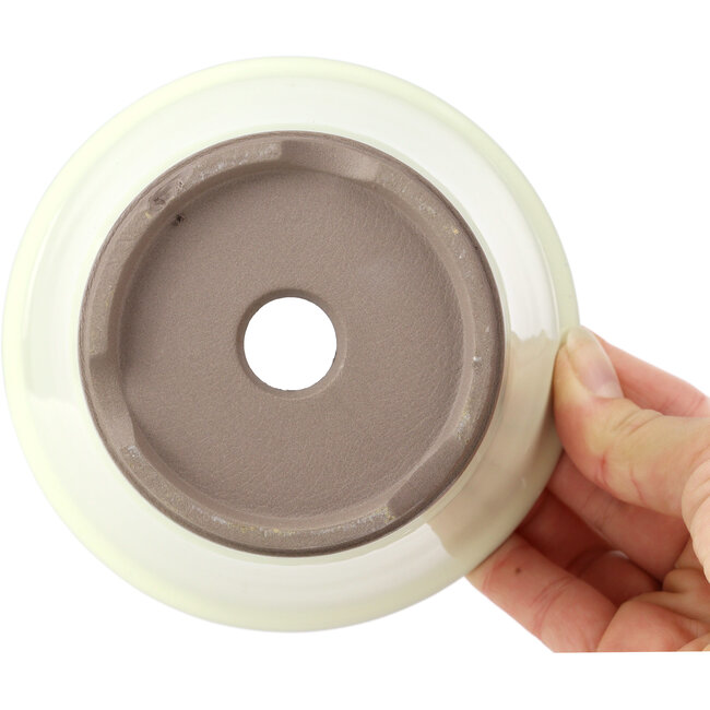 Vaso per bonsai rotondo bianco beige di Seto Yaki - 127 x 127 x 83 mm