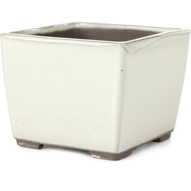 Vaso bonsai quadrato bianco di Seto Yaki - 114 x 114 x 90 mm