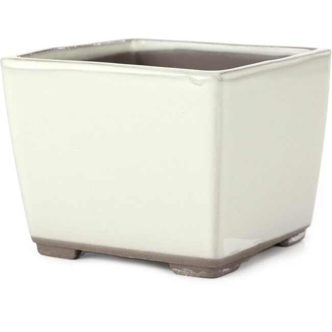 Square white bonsai pot by Seto Yaki - 114 x 114 x 90 mm