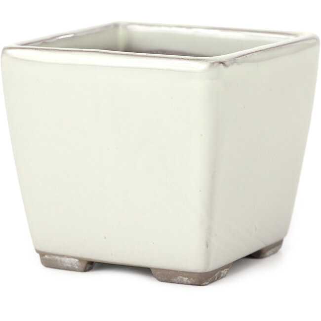 Maceta de bonsái blanca cuadrada de Seto Yaki - 86 x 86 x 78 mm