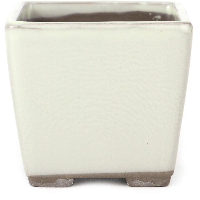 Maceta de bonsái blanca cuadrada de Seto Yaki - 86 x 86 x 78 mm
