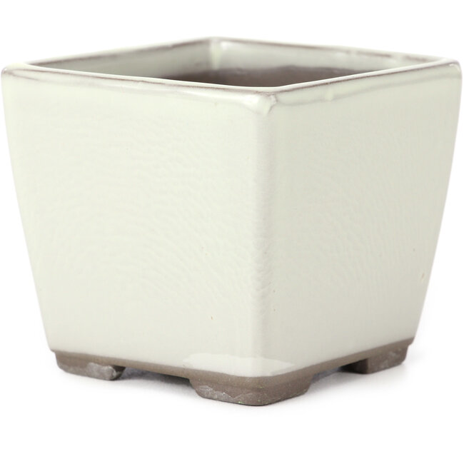 Maceta de bonsái blanca cuadrada de Seto Yaki - 86 x 86 x 78 mm