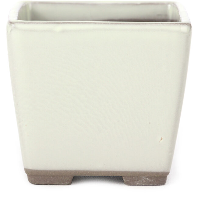 Maceta de bonsái blanca cuadrada de Seto Yaki - 86 x 86 x 78 mm