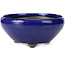 Runde blaue Bonsaischale von Seto Yaki - 156 x 156 x 69 mm