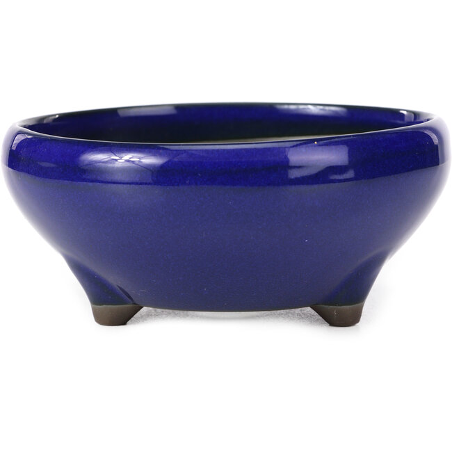 Runde blaue Bonsaischale von Seto Yaki - 156 x 156 x 69 mm
