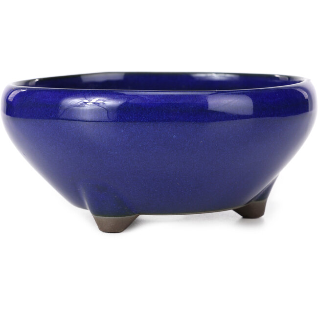 Pot à bonsaï rond bleu par Seto Yaki - 156 x 156 x 69 mm