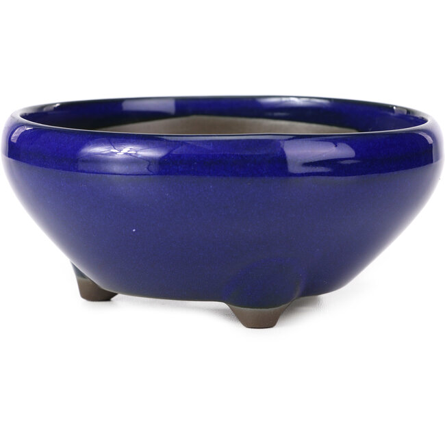 Runde blaue Bonsaischale von Seto Yaki - 156 x 156 x 69 mm