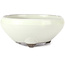 Vaso bonsai rotondo bianco di Seto Yaki - 156 x 156 x 69 mm