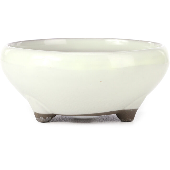 Runde weiße Bonsaischale von Seto Yaki - 156 x 156 x 69 mm