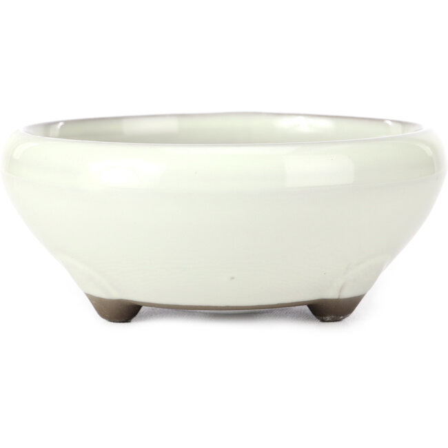 Vaso bonsai rotondo bianco di Seto Yaki - 131 x 131 x 54 mm
