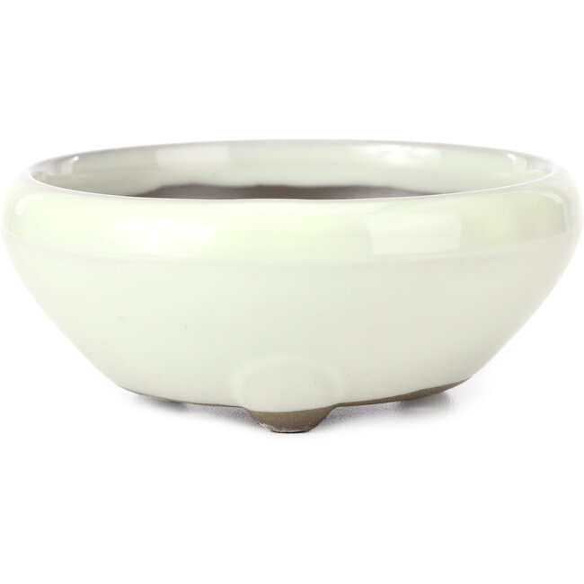Maceta de bonsái blanca redonda de Seto Yaki - 131 x 131 x 54 mm