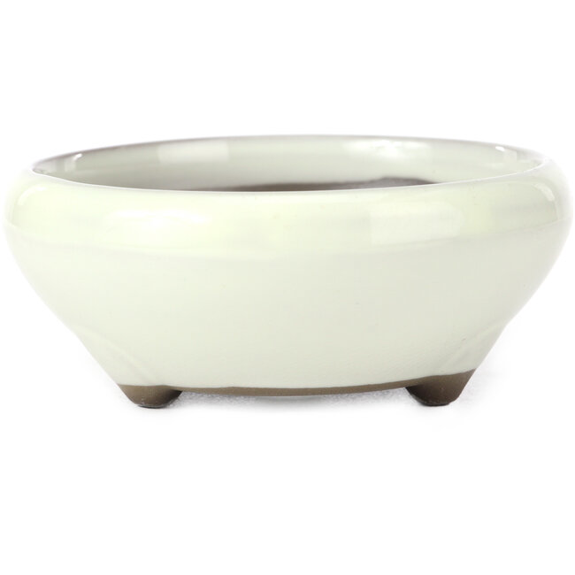 Maceta de bonsái blanca redonda de Seto Yaki - 131 x 131 x 54 mm