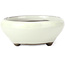 Pot à bonsaï rond blanc par Seto Yaki - 131 x 131 x 54 mm
