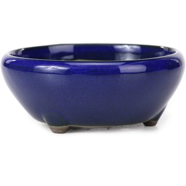 Ronde blauwe bonsaipot van Seto Yaki - 109 x 109 x 42 mm