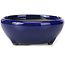 Vaso bonsai rotondo blu di Seto Yaki - 109 x 109 x 42 mm