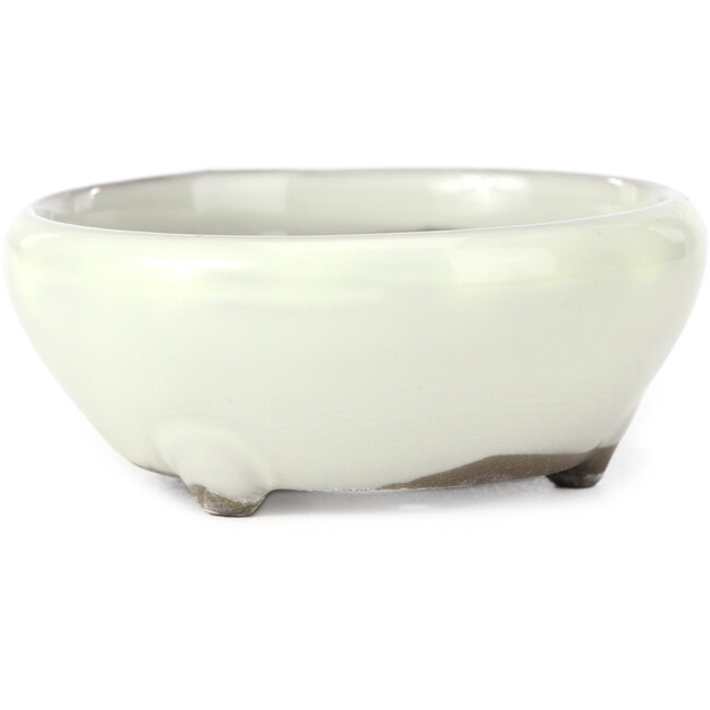 Maceta de bonsái blanca redonda de Seto Yaki - 109 x 109 x 42 mm