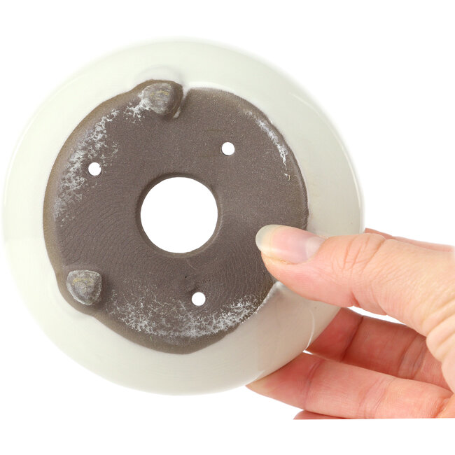 Vaso bonsai rotondo bianco di Seto Yaki - 109 x 109 x 42 mm