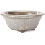 Vaso bonsai rotondo grigio con pois bianchi di Seto Yaki - 114 x 114 x 44 mm