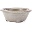 Round grey with white dots bonsai pot by Seto Yaki - 114 x 114 x 44 mm