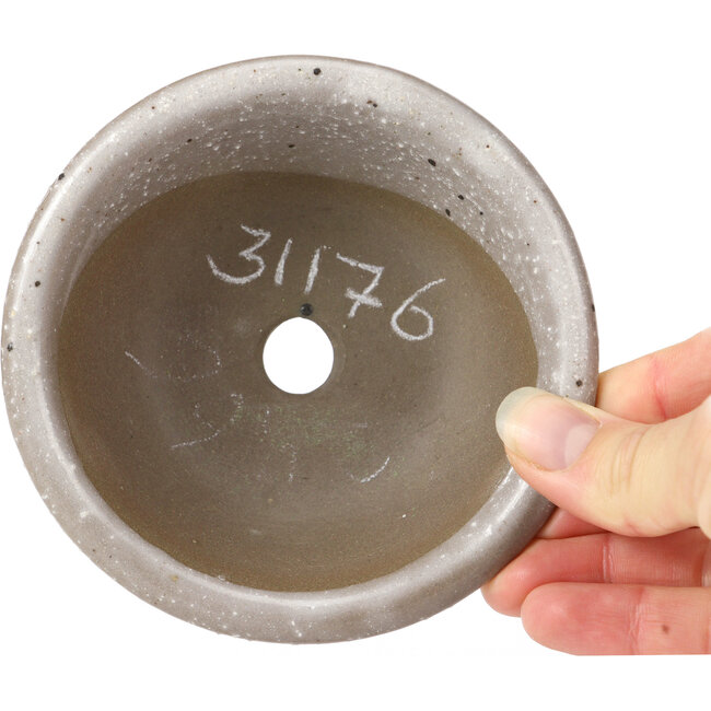 Maceta de bonsái redonda gris con lunares blancos de Seto Yaki - 114 x 114 x 44 mm