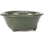 Vaso bonsai rotondo verde di Seto Yaki - 114 x 114 x 44 mm